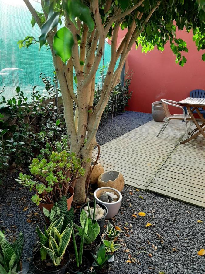 Casa Das Yucas - Patio Apartment Capelas Exteriér fotografie