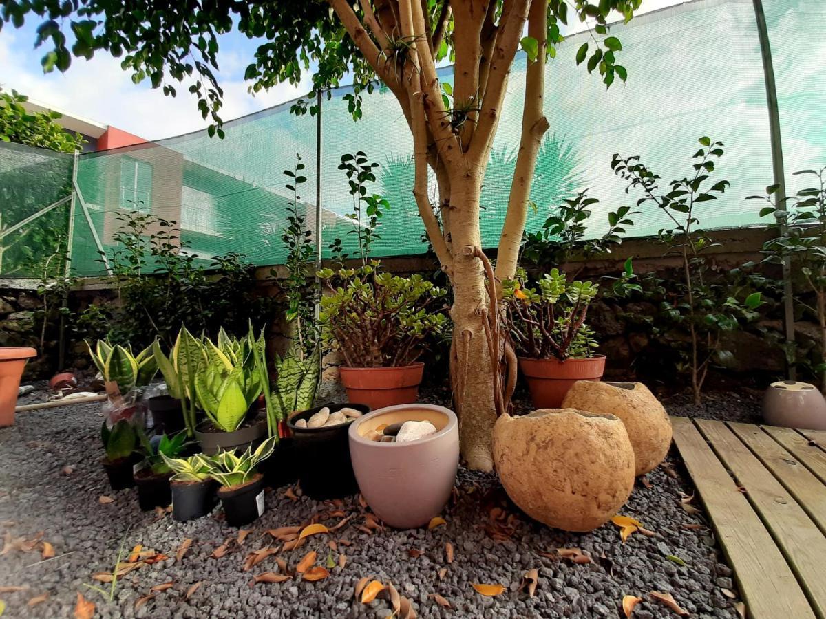 Casa Das Yucas - Patio Apartment Capelas Exteriér fotografie