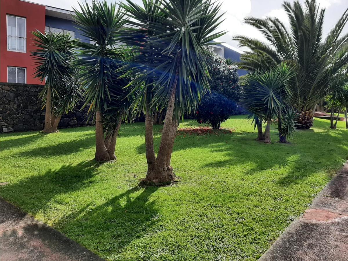 Casa Das Yucas - Patio Apartment Capelas Exteriér fotografie